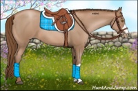 Horse Color:Bay Pearl 