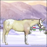 Horse Color:Watercolor Palomino Roan Pearl Sabino Splash Appaloosa 