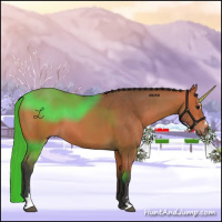 Horse Color:Bay Sabino 