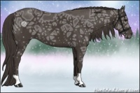 Horse Color:Smoky Black Ice 