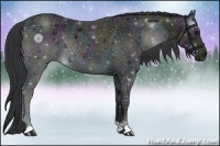 Horse Color:Midnight Black Ice 