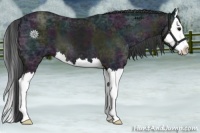 Horse Color:Midnight Blue Ice Roan Splash 