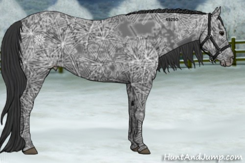 Horse Color:Black Ice 