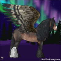 Horse Color:Brown Mushroom Rabicano