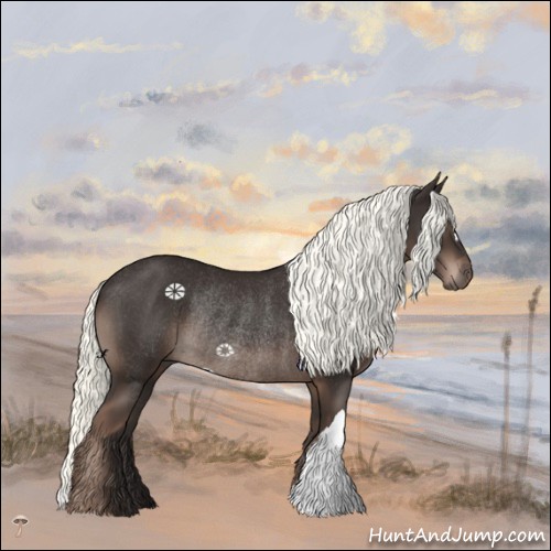 Horse Color:Liver Chestnut Mushroom Rabicano 