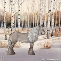 Horse Color:Liver Red Dun Roan Mushroom Rabicano
