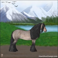 Horse Color:Brown Roan Dun Mushroom Rabicano
