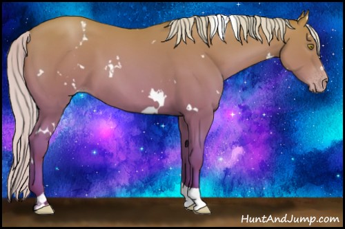 Horse Color:White Spotted Silver Amber Champagne Tobiano Rabicano 