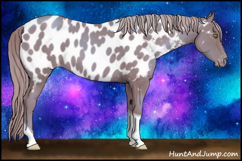 Horse Color:Gold Champagne Tobiano Near Leopard 