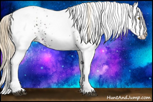 Horse Color:White Spotted Chestnut Ice Pearl Appaloosa 