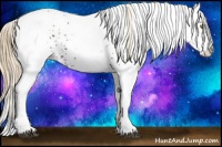 Horse Color:White Spotted Chestnut Ice Pearl Appaloosa 