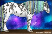 Horse Color:Painted White Spotted Gold Champagne Ice Pearl Dun Splash Appaloosa Rabicano