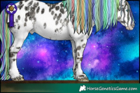 Horse Color:Painted White Spotted Gold Champagne Ice Pearl Dun Splash Appaloosa Rabicano 