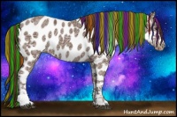 Horse Color:Painted Liver Chestnut Ice Appaloosa 