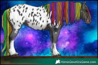 Horse Color:Painted White Spotted Brown Blanket Rabicano 