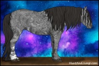 Horse Color:Liver Chestnut Ice 