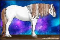 Horse Color:White Spotted Gold Champagne Near Fewspot 