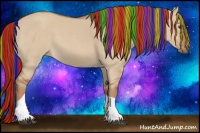 Horse Color:Painted Red Dun Tobiano 