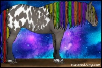 Horse Color:Painted Black Near Leopard Rabicano 