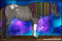 Horse Color:Painted Grullo Appaloosa Rabicano 
