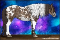 Horse Color:Amber Champagne Ice Tobiano Frame 