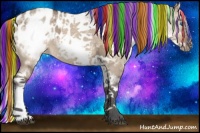 Horse Color:Painted White Spotted Bay Ice Dun Splash Frame Appaloosa 