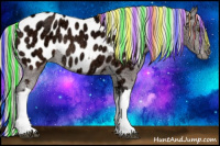 Horse Color:Painted Silver Brown Ice Appaloosa Rabicano 