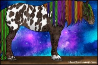 Horse Color:Painted Liver Chestnut Ice Appaloosa Rabicano 