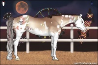 Horse Color:Nacre Classic Champagne Splash Near Leopard  and Classic Champagne Onyx Splash 