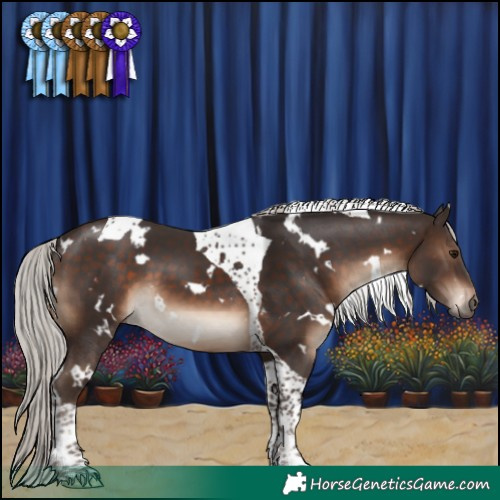 Horse Color:White Spotted Silver Brown Tobiano 