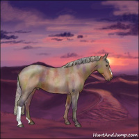 Horse Color:Nacre Silver Brown Roan 