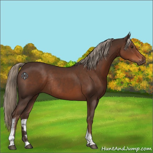 Horse Color:Liver Chestnut Tobiano Rabicano 