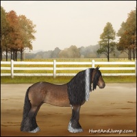 Horse Color:Buckskin Mushroom Tobiano Rabicano 