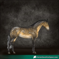 Horse Color:Buckskin Mushroom Rabicano 
