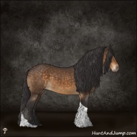 Horse Color:Buckskin Mushroom Tobiano Rabicano 