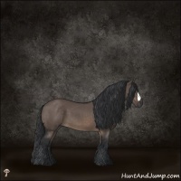 Horse Color:Brown Dun Mushroom 