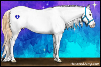 Horse Color:Red Dun Roan Appaloosa