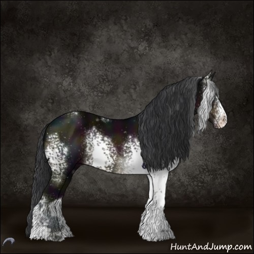 Horse Color:White Spotted Midnight Brown Sabino 