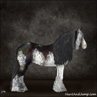 Horse Color:White Spotted Midnight Brown Sabino 