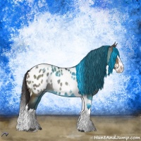 Horse Color:Brown Dun Sabino Splash Tobiano Blanket 