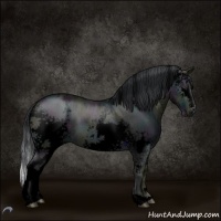 Horse Color:Void White Spotted Midnight Brown Chinchilla Ice Roan Onyx 