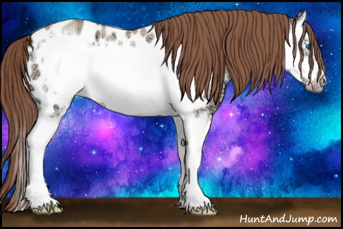 Horse Color:Sable Champagne Ice Dun Sabino Splash Frame Appaloosa Rabicano 