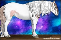 Horse Color:Gold Champagne Ice Splash Tobiano 