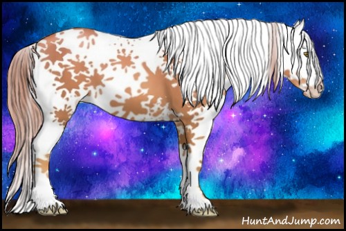Horse Color:White Spotted Gold Champagne 