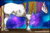 Horse Color:Painted White Spotted Gold Champagne Ice Dun Splash Appaloosa 
