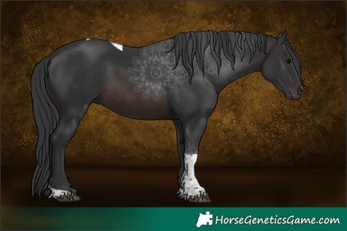 Horse Color:Brown Tobiano 