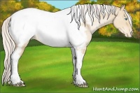 Horse Color:Silver Smoky Grullo Pearl Tobiano Appaloosa 