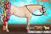 Horse Color:White Spotted Buckskin Pearl Sabino 
