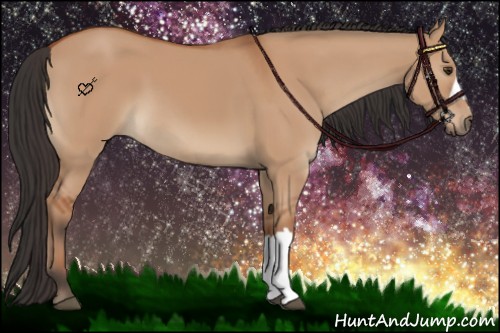 Horse Color:Bay Dun