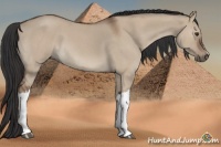Horse Color:Bay Roan Dun 
